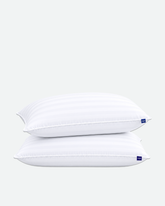 Premium Bed Pillows