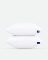 Throw Pillows Insert Set of 2