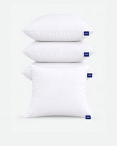 Throw Pillows Insert Set of 4