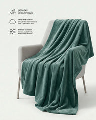 Celadon