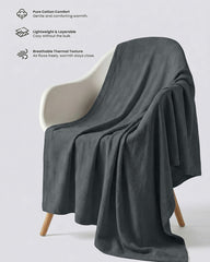 Smoke Gray