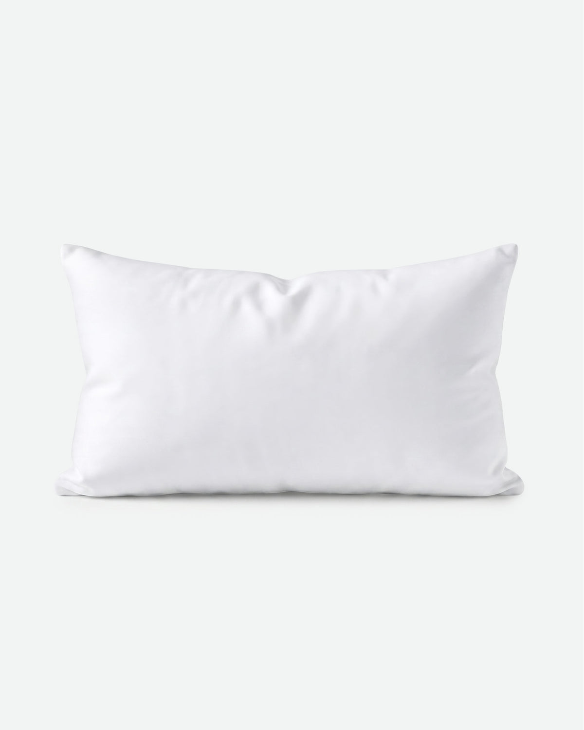 Throw Pillows Insert Set of 1