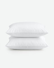 Throw Pillows Insert Set of 2