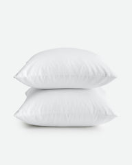 Throw Pillows Insert Set of 2