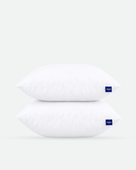 Throw Pillows Insert Set of 2