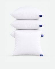 Throw Pillows Insert Set of 4